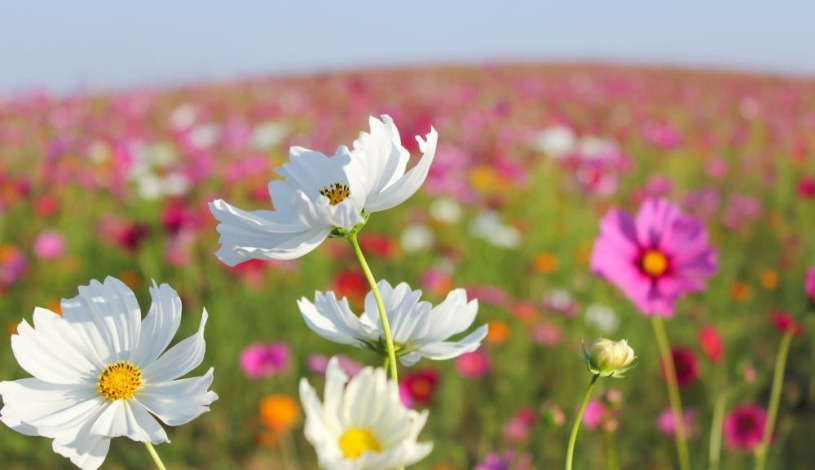 Wellness hotel Sauna Malá Morávka